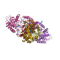 Example Structure of glutamate carboxypeptidase EC#: 3.4.17.11