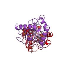 Example Structure of Muramoyltetrapeptide carboxypeptidase EC#: 3.4.17.13