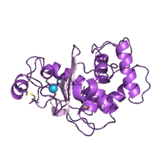 Example Structure of Zinc D-Ala-D-Ala carboxypeptidase EC#: 3.4.17.14