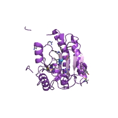 Example Structure of carboxypeptidase A2 EC#: 3.4.17.15