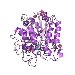 Example Structure of carboxypeptidase T EC#: 3.4.17.18