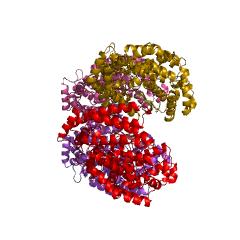 Example Structure of Carboxypeptidase Taq EC#: 3.4.17.19