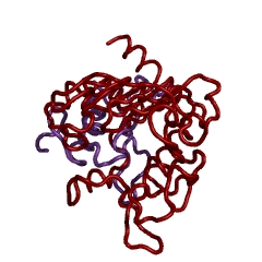 Example Structure of carboxypeptidase B EC#: 3.4.17.2