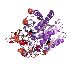 Example Structure of Carboxypeptidase U EC#: 3.4.17.20