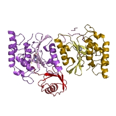 Example Structure of ubiquitinyl hydrolase 1 EC#: 3.4.19.12