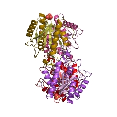 Example Structure of pyroglutamyl-peptidase I EC#: 3.4.19.3