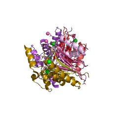Example Structure of beta-aspartyl-peptidase EC#: 3.4.19.5