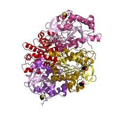 Example Structure of folate gamma-glutamyl hydrolase EC#: 3.4.19.9