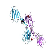 Example Structure of mannan-binding lectin-associated serine protease-2 EC#: 3.4.21.104