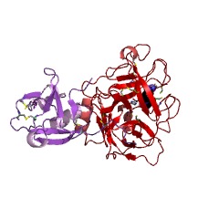 Example Structure of hepsin EC#: 3.4.21.106