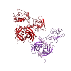 Example Structure of peptidase Do EC#: 3.4.21.107