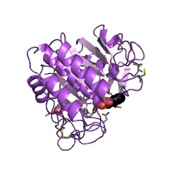 Example Structure of aqualysin 1 EC#: 3.4.21.111