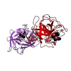 Example Structure of stratum corneum chymotryptic enzyme EC#: 3.4.21.117