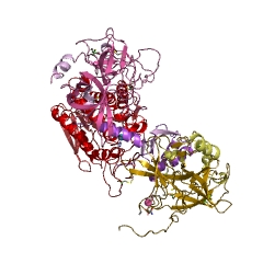 Example Structure of chymotrypsin C EC#: 3.4.21.2