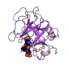 Example Structure of cathepsin G EC#: 3.4.21.20
