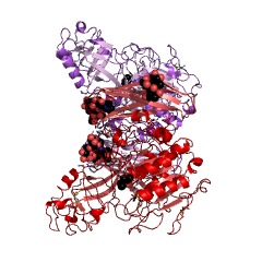 Example Structure of cucumisin EC#: 3.4.21.25