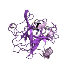 Example Structure of plasma kallikrein EC#: 3.4.21.34