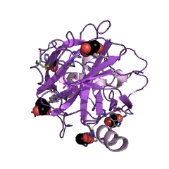 Example Structure of tissue kallikrein EC#: 3.4.21.35