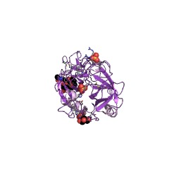 Example Structure of complement subcomponent C1s EC#: 3.4.21.42