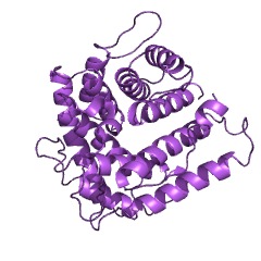 Example Structure of classical-complement-pathway C3/C5 convertase EC#: 3.4.21.43