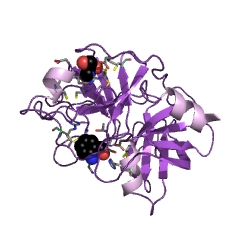 Example Structure of complement factor D EC#: 3.4.21.46