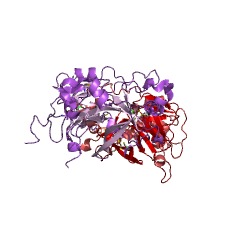Example Structure of alternative-complement-pathway C3/C5 convertase EC#: 3.4.21.47