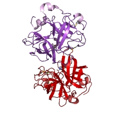 Example Structure of hypodermin C EC#: 3.4.21.49