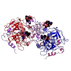 Example Structure of thrombin EC#: 3.4.21.5