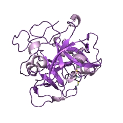Example Structure of lysyl endopeptidase EC#: 3.4.21.50