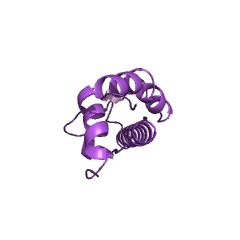 Example Structure of Endopeptidase La EC#: 3.4.21.53