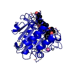 Example Structure of peptidase K EC#: 3.4.21.64