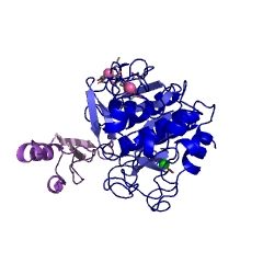 Example Structure of Thermitase EC#: 3.4.21.66