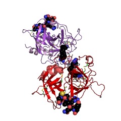 Example Structure of t-Plasminogen activator EC#: 3.4.21.68