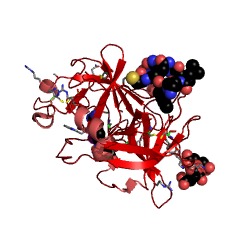 Example Structure of u-Plasminogen activator EC#: 3.4.21.73