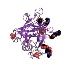 Example Structure of venombin A EC#: 3.4.21.74