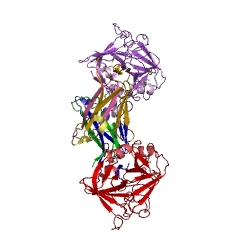 Example Structure of Granzyme B EC#: 3.4.21.79