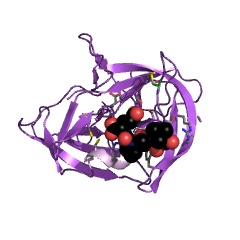 Example Structure of Glutamyl endopeptidase II EC#: 3.4.21.82