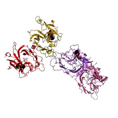 Example Structure of Signal peptidase I EC#: 3.4.21.89