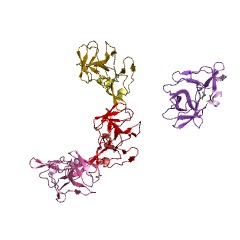 Example Structure of Togavirin EC#: 3.4.21.90