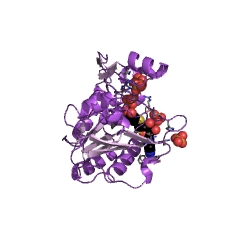 Example Structure of Flavivirin EC#: 3.4.21.91