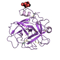 Example Structure of Snake venom factor V activator EC#: 3.4.21.95