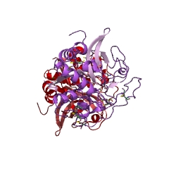 Example Structure of cathepsin B EC#: 3.4.22.1