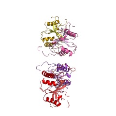 Example Structure of streptopain EC#: 3.4.22.10