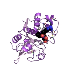 Example Structure of actinidain EC#: 3.4.22.14