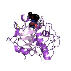 Example Structure of papain EC#: 3.4.22.2