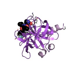 Example Structure of picornain 2A EC#: 3.4.22.29