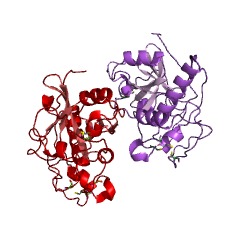 Example Structure of ficain EC#: 3.4.22.3