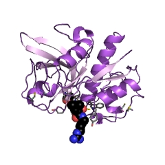 Example Structure of Caricain EC#: 3.4.22.30