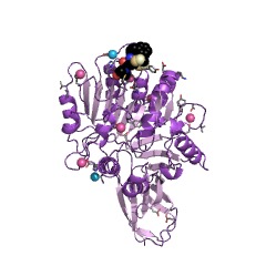 Example Structure of gingipain R EC#: 3.4.22.37