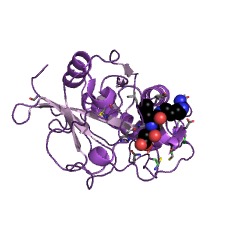 Example Structure of cathepsin K EC#: 3.4.22.38